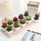 thumbnail image 3 of Xiao Hua unidades - Mini suculentas verdes artificiales en maceta (2 x 1,7 pulgadas), fáciles de limpiar, adecuadas para la oficina, el tocador y como centro de mesa de comedor, estilo 08, 3 of 3