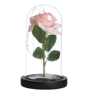 Genérico - Cúpula Vidrio Rosa Eterna Con Luces Led