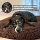 thumbnail image 4 of Cama para mascotas Muddy Mat Cloud K-9 suave forma donut color marrón 64 cm, 4 of 5
