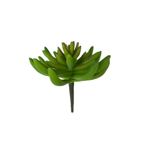 Corel - Suculenta Verde 13Cm Con Detalles Increíbles