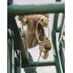 thumbnail image 2 of Guantes de trabajo Golden Stag Iron Fencer 207M de piel de vacuno, 2 of 8