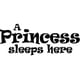 thumbnail image 1 of Decomural A Princess Sleeps Here Girls Nursery WS-17715, 1 of 2