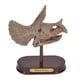thumbnail image 1 of Kit De Excavación De Dinosaurios Con Calavera De Triceratops 14 Cm, 1 of 6