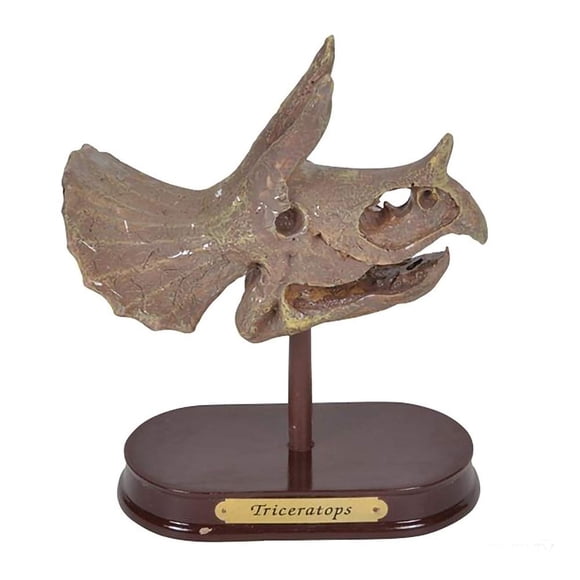 Kit De Excavación De Dinosaurios Con Calavera De Triceratops 14 Cm