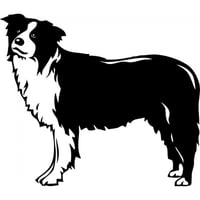 Rienda Libre Graphics - Decomural Border Collie Dog Pet Animals Ws-18699