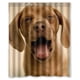 thumbnail image 1 of Cortina de ducha con diseño de cachorro, divertida y divertida, con ganchos, tamaño 60 x 72 pulgadas, 1 of 3