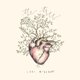 thumbnail image 1 of Music CN RECORDS – The Tree, 1 of 1