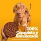 thumbnail image 2 of Alimento Húmedo Perro Adulto Sabor Carne Pouch, 100 g, 2 of 9