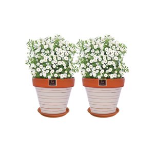 Mestiza - Set De 2 Maceta Kony 19Cm Terra Beige Y Sus Platos