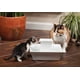 thumbnail image 2 of Fuente de agua PetSafe Drinkwell Pagoda de 2,1 L para perros y gatos, 2 of 7