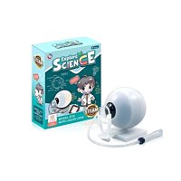 Doremi - Juego Anatomia Del Ojo Humano Educativo