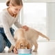 thumbnail image 5 of Cuenco de acero inoxidable para perros y gatos, antideslizante, con base de goma antiderrames., 5 of 5