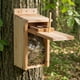 thumbnail image 3 of Casas para Pájaros KraAra 2 Unidades 12 cm × 10,5 cm Madera de Pino, 3 of 7