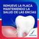 thumbnail image 3 of Sensibilidad Encias 100g, 3 of 4