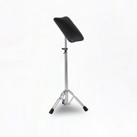 Camillas Chile - Reposabrazos Premium.