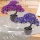 thumbnail image 5 of Árbol Bonsái Artificial Fycooler 30 × 25 × 8 cm para Decoración de Interiores, 5 of 7