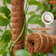 thumbnail image 3 of Kit Tutor De Musgo 20pcs Soporte Plantas Trepadoras 100cm, 3 of 9
