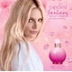 thumbnail image 3 of Britney Spears - Candied Fantasy EDT Spray (30ml), 3 of 8