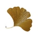thumbnail image 4 of Escultura De Pared De Hojas De Ginkgo, Decoración De Pared De Hojas De Ginkgo De Hierro Forjado Para Hotel Pequeño, 4 of 5