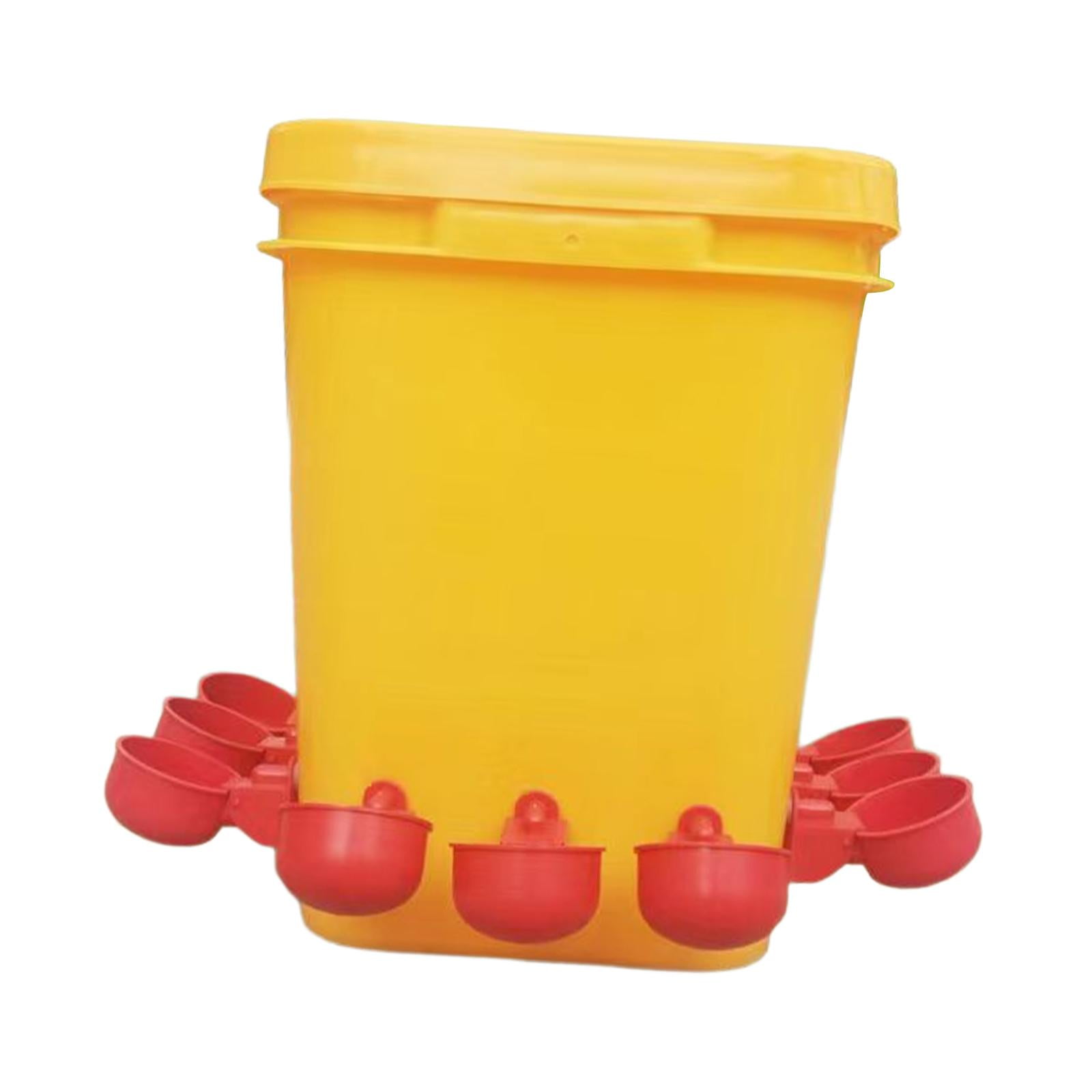 Bebedero Para Pollos, Bebedero Automático Para Pollos, Codorniz, Paloma, Ganso