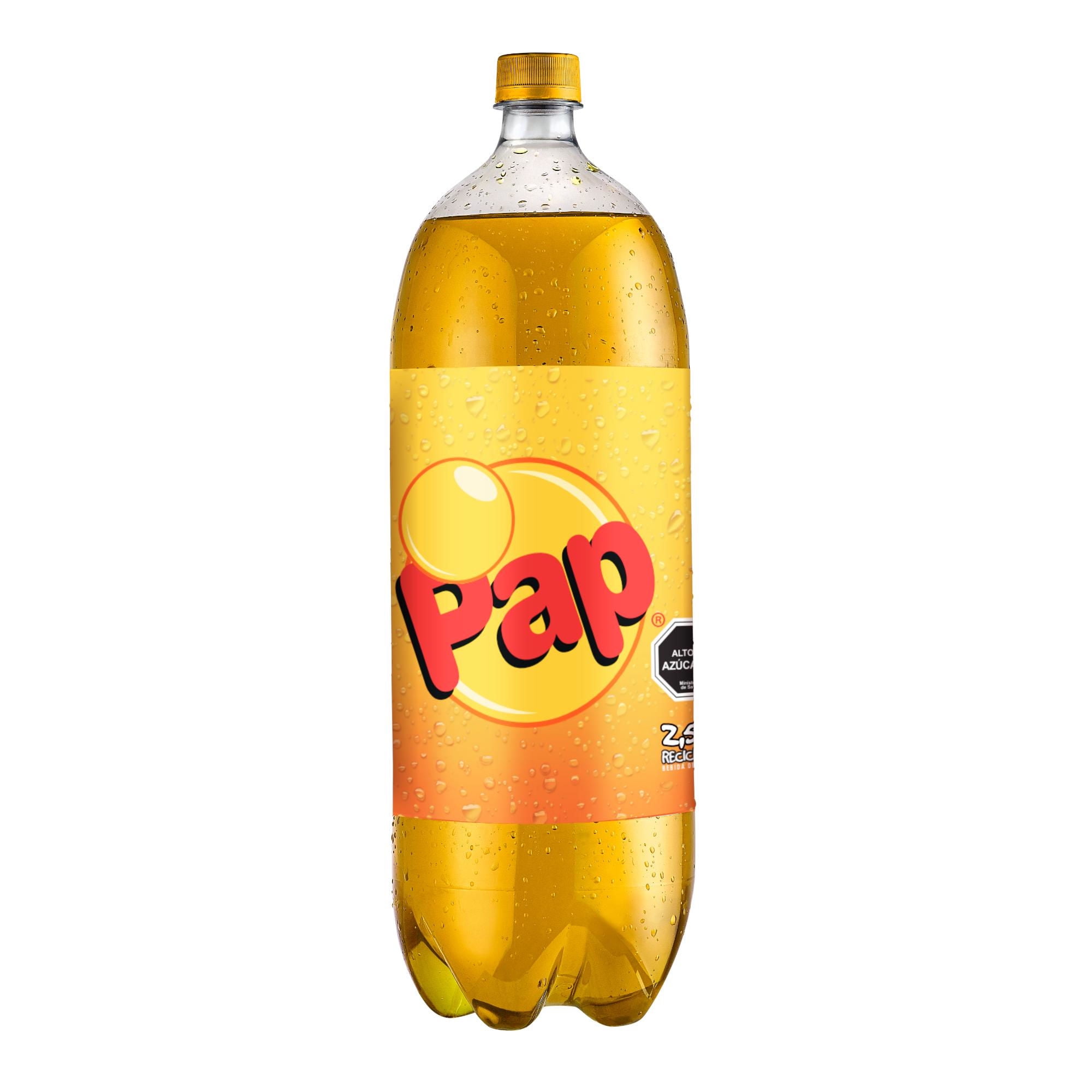 Bebida Papaya Botella