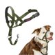 thumbnail image 1 of Collar Halti Headcollar Talla 2 Verde Bosque para Entrenamiento, 1 of 5
