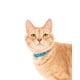 thumbnail image 4 of Collares para gatos Nuvuq, de silicona, suaves, cómodos y ligeros, paquete de 2, 4 of 7