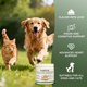 thumbnail image 5 of Suplemento en polvo de taurina Pawvita rethes 200 g para perros y gatos, 5 of 6