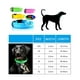 thumbnail image 4 of Collar Con Luz Led Carga Usb Perros Gatos Talla M Azul, 4 of 5