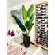 thumbnail image 5 of Planta Artificial Decorativa Arbol Grande Ave Paraiso 180cm, 5 of 11