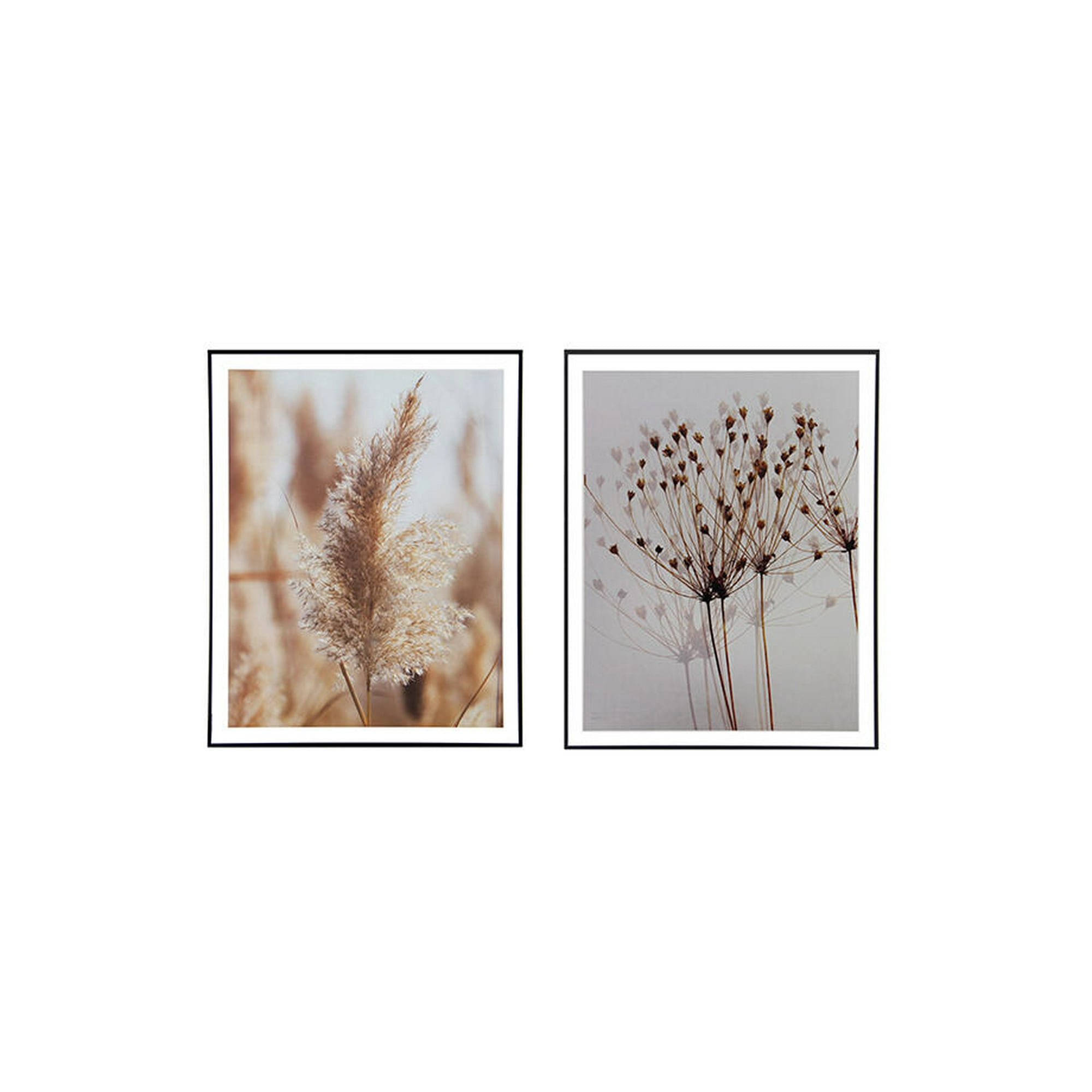 Vgo - Set 2 Cuadros 40x50 Mad C/lam Neg40x50