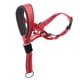 thumbnail image 1 of Collar de cabeza para mascotas, collar de cabeza tipo halter para perros, collar de cabeza para evitar tirones en perros, 1 of 5