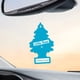 thumbnail image 5 of Ambientador para coche LITTLE TREES Caribbean Colada x24, 5 of 8