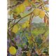 thumbnail image 1 of Diario PETER PAUPER PRESS 16x21 cm Árbol de Limón, 1 of 3