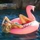 thumbnail image 3 of Flotador GoFloats Flamingo Rosa, 3 of 3