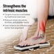 thumbnail image 4 of Sistema de rehabilitación y entrenamiento Balance Board SIDEKICK AxisBoard, 4 of 8