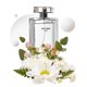 thumbnail image 2 of Perfume d'e Siso Classic White Sweet Eau de toilette, 100 ml, 2 of 7