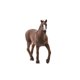thumbnail image 2 of Figura Schleich Horse Club, yegua de pura sangre inglesa, 5+, 2 of 4