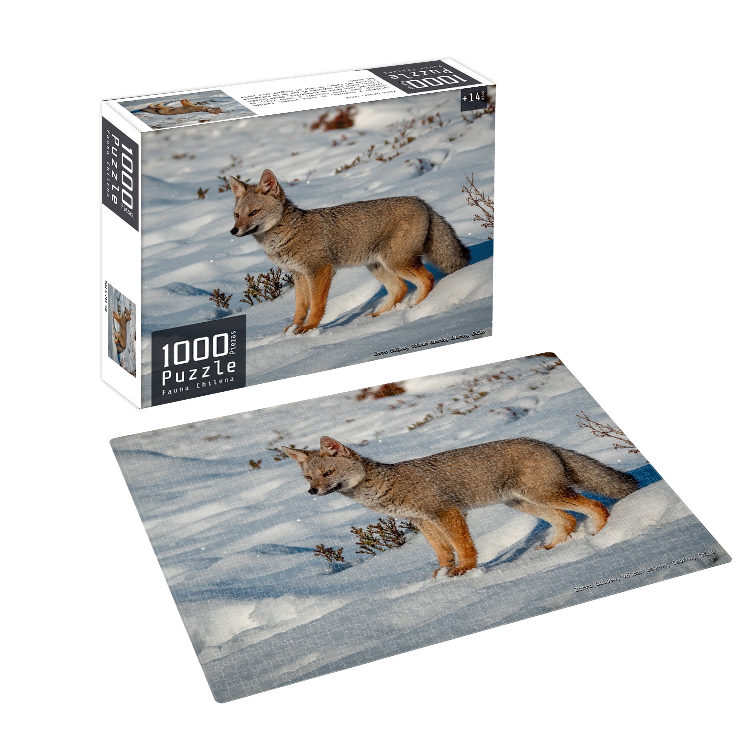 Nobel Gift - Puzzle 1000 Piezas Fauna Chilena Zorro
