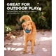 thumbnail image 4 of Juguete para perros Outward Hound Squeaker Ballz Fetch Small, paquete de 8, 4 of 7