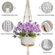 thumbnail image 2 of Juego de 2 colgadores de plantas Jaxbo, 104 cm, blanco, macramé, 2 of 9
