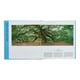 thumbnail image 4 of Árboles de Editorial Phaidon, 4 of 5