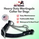 thumbnail image 3 of Collar de entrenamiento para perros JIM HODGES, talla M 38-48 cm, negro, 3 of 7