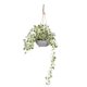 thumbnail image 1 of Planta Artificial Enredadera 89 Cm, 1 of 1