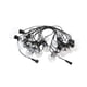 thumbnail image 3 of Cadena De Luces LED Irrompibles Para Decoración De Habitaciones, Luces De Jardín Para Patio, Azotea, Jardín, Luz Cálida Transparente, 3 of 3