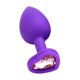 thumbnail image 1 of Dilatador Anal Violeta - Small, 1 of 1