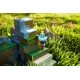 thumbnail image 3 of Protector Playset Mattel Minecraft Overworld durante más de 6 años, 3 of 7