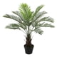 thumbnail image 2 of Palmera de 90 cm, 2 of 2