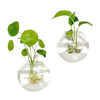 Crusec - Pack 2 Macetas De Vidrio Colgante Transparente Pared 13Cm