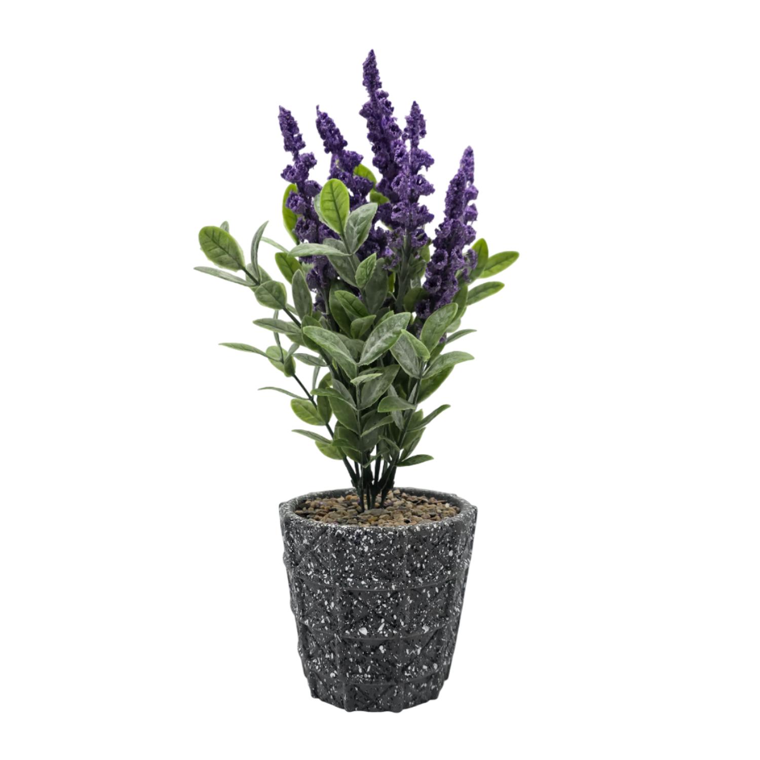 Fliperex - Planta Artificial Lavanda Macetero De Cemento Gris Diseño Gris Oscuro